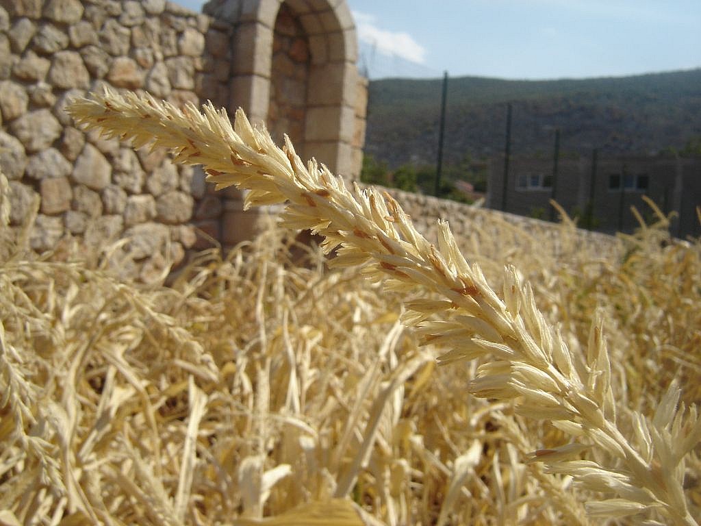 Agroindustrija i poljo mehanizacija